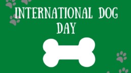 international dog day sign