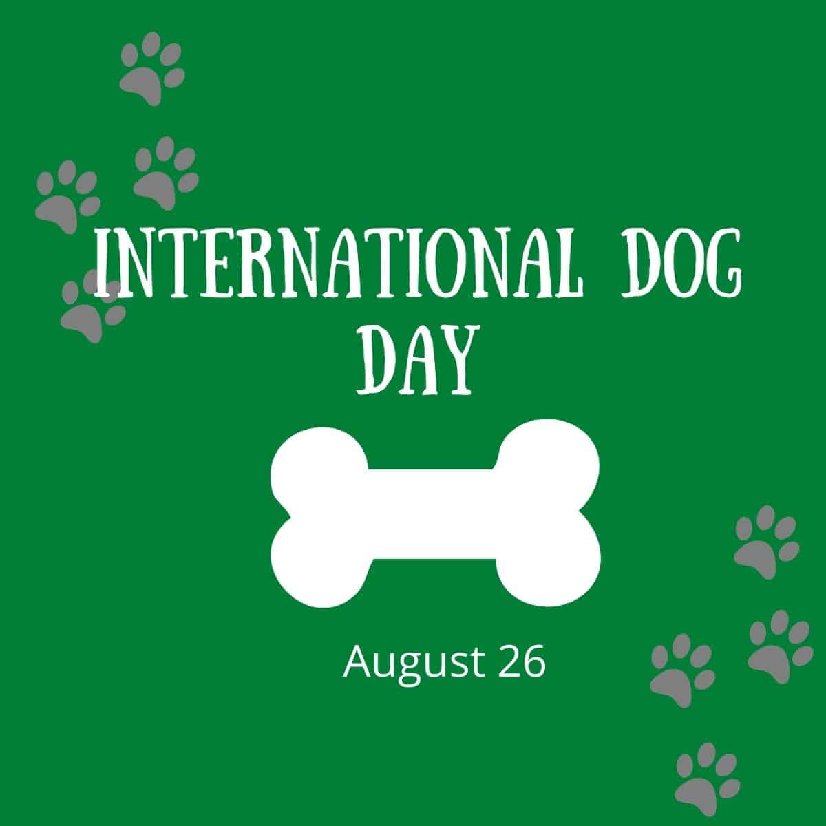 Celebrate International Dog Day! Seven Oaks Consulting