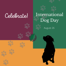 blocks of green, gold and red, a black dog, and pawprints, with the word Celebrate International Dog Day August 26